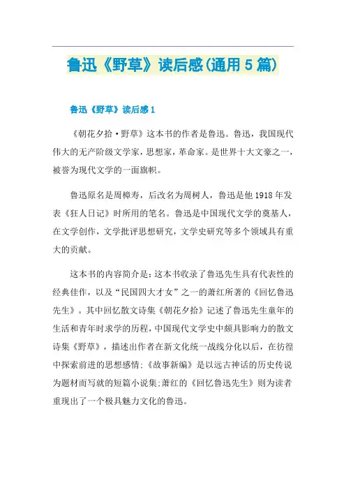 鲁迅《野草》读后感(通用5篇)