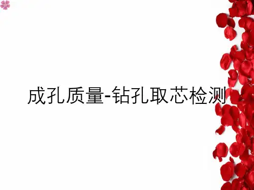 成孔质量-钻孔取芯检测