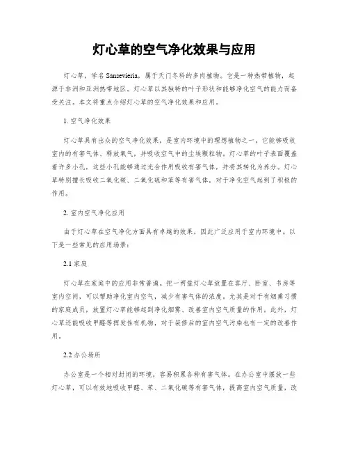 灯心草的空气净化效果与应用