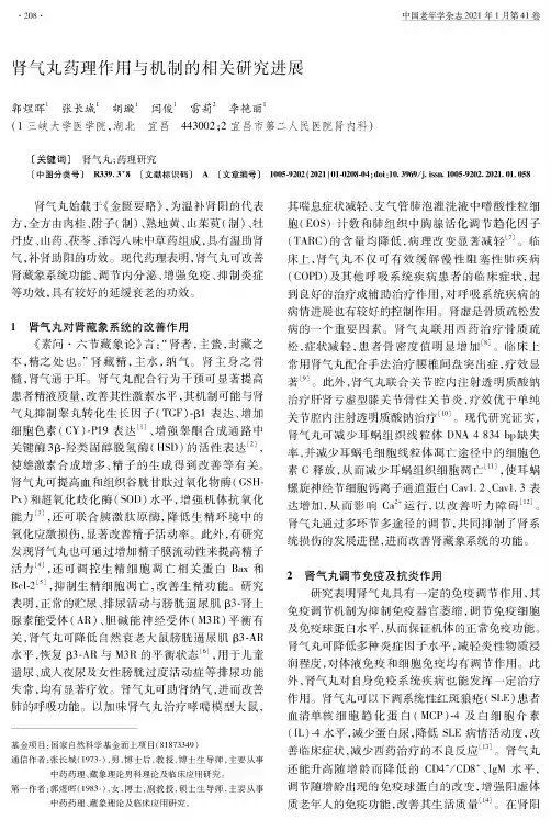肾气丸药理作用与机制的相关研究进展