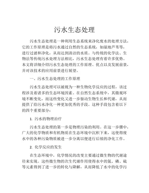 污水生态处理
