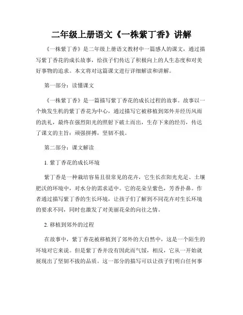二年级上册语文《一株紫丁香》讲解