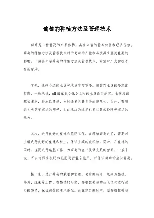 葡萄的种植方法及管理技术