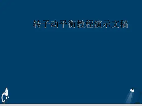 转子动平衡教程演示文稿