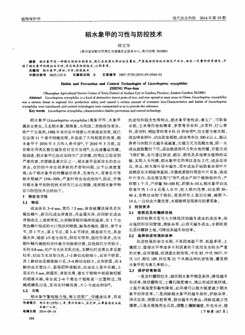 稻水象甲的习性与防控技术