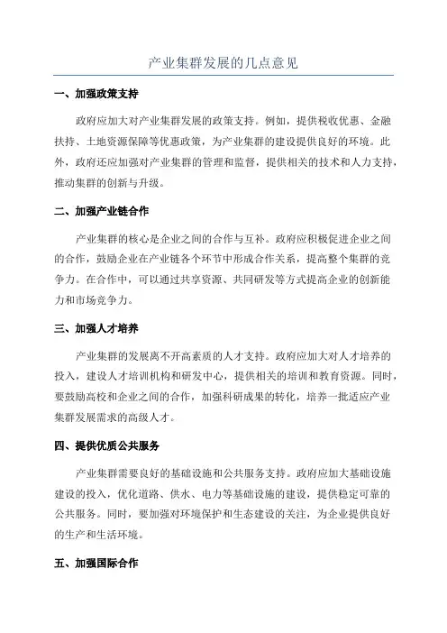 产业集群发展的几点意见