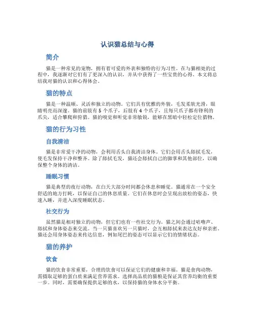 认识猫总结与心得