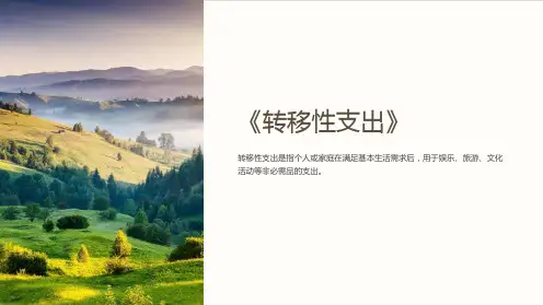 《转移性支出》课件