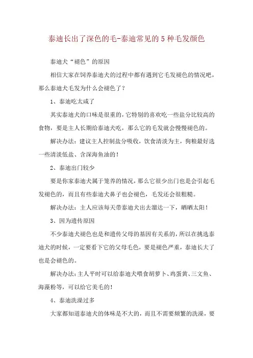 泰迪长出了深色的毛-泰迪常见的5种毛发颜色