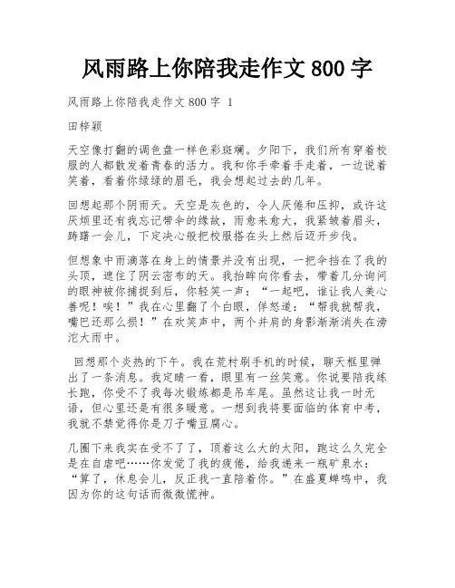 风雨路上你陪我走作文800字