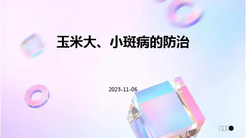 玉米大、小斑病的防治