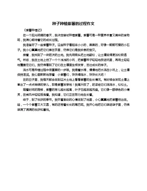 种子种植紫薯的过程作文