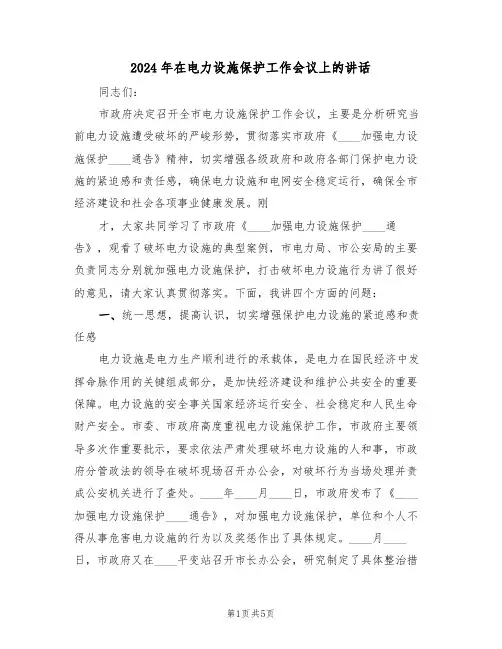 2024年在电力设施保护工作会议上的讲话（二篇）