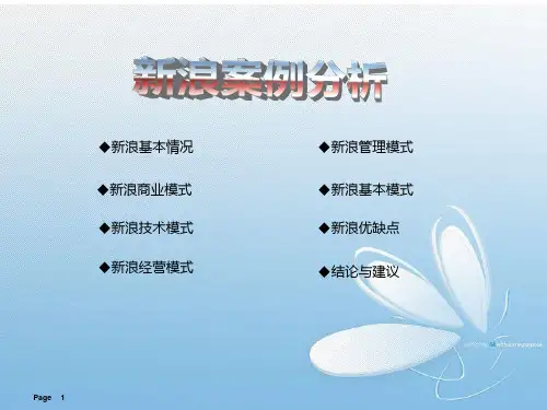 新浪案例分析PPT课件