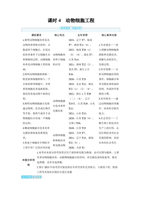 第十一章生物技术与工程课时4动物细胞工程-2025年高考生物备考教案
