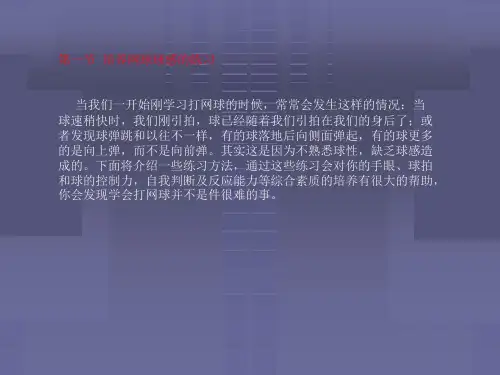 网球运动训练第一节培养网球球感的练习第二节网球73