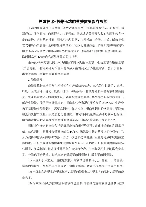 养殖技术-散养土鸡的营养需要都有哪些