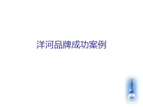 洋河品牌成功案例 PPT课件