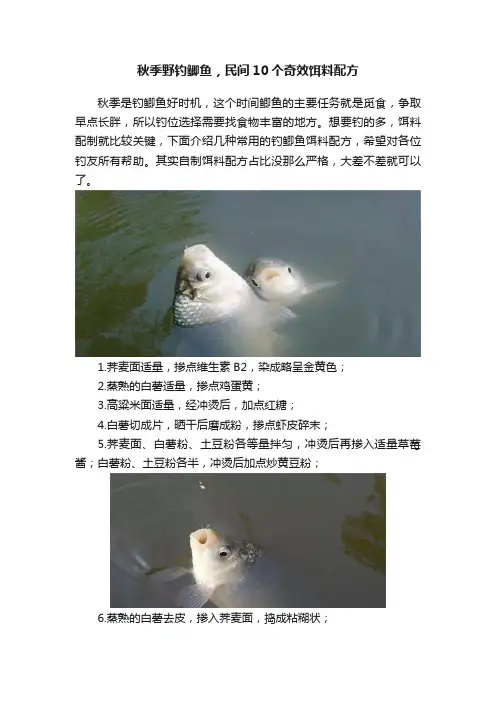 秋季野钓鲫鱼，民间10个奇效饵料配方