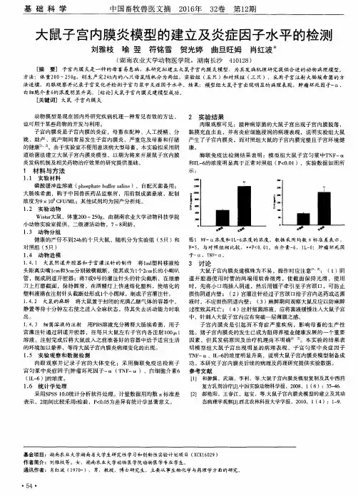 大鼠子宫内膜炎模型的建立及炎症因子水平的检测