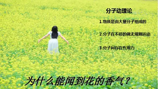 《分子动理论》人教版ppt上课用