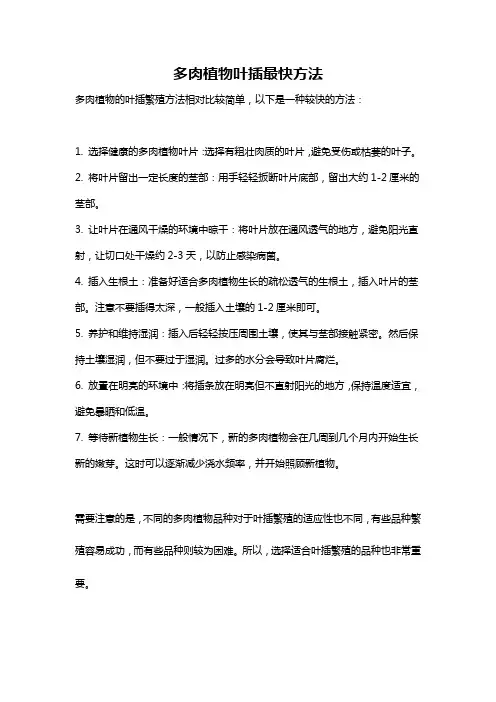 多肉植物叶插最快方法