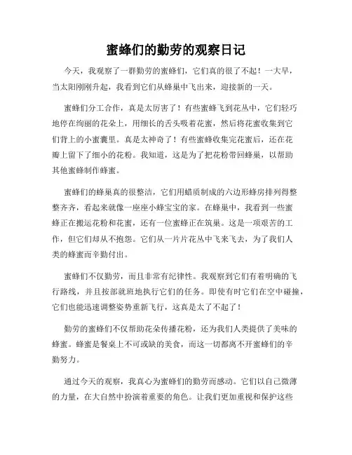 小学三年级作文蜜蜂们的勤劳的观察日记