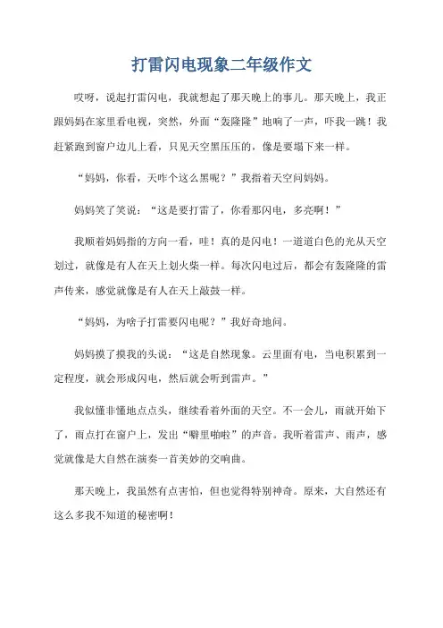 打雷闪电现象二年级作文