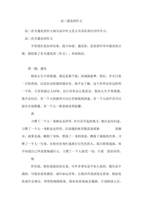 高二遇见的作文