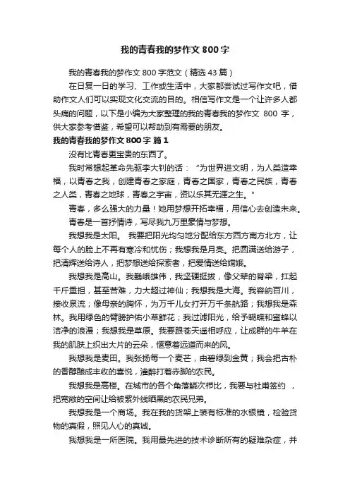 我的青春我的梦作文800字