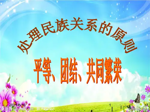 7.1处理民族关系的三大原则