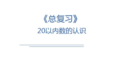 《总复习1》20以内数的认识课件人教版一年级上册数学(共12张PPT)