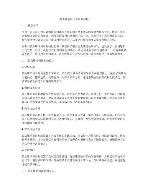 领头雁培训计划经验材料