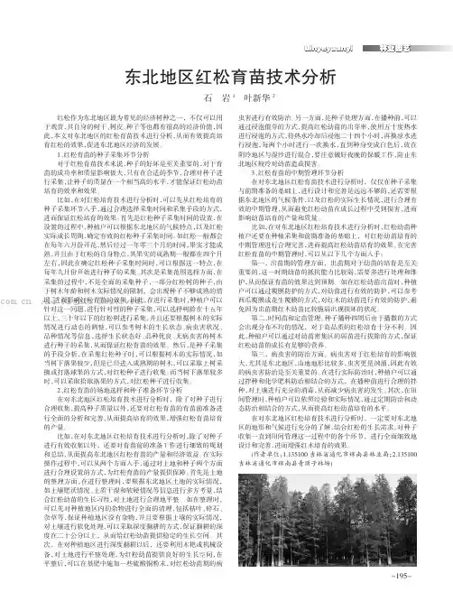 东北地区红松育苗技术分析