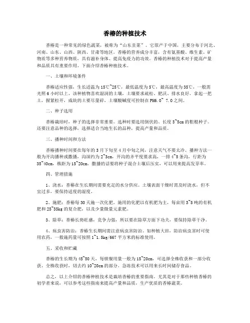 香椿的种植技术