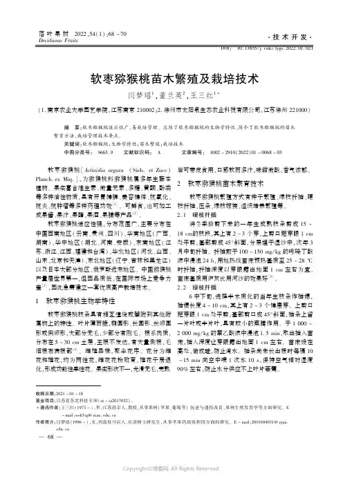 软枣猕猴桃苗木繁殖及栽培技术