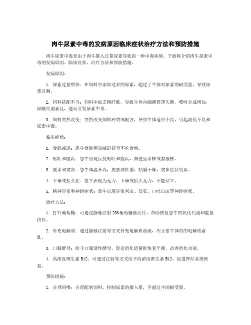肉牛尿素中毒的发病原因临床症状治疗方法和预防措施