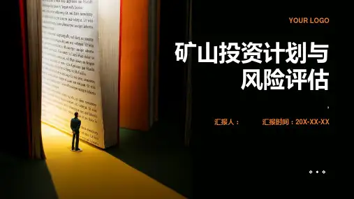 矿山投资计划与风险评估