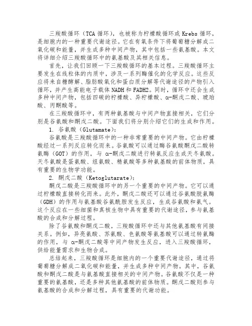 三羧酸循环中间产物氨基酸