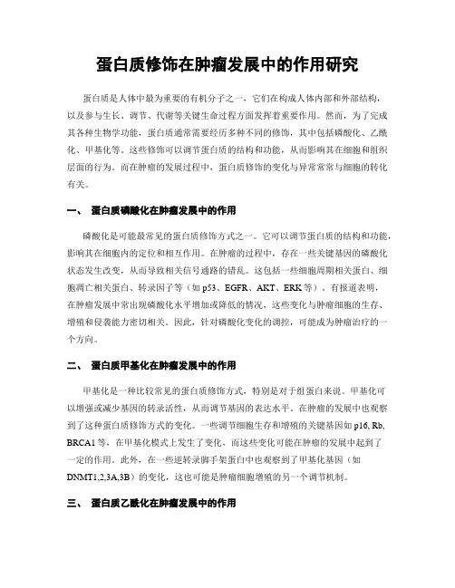 蛋白质修饰在肿瘤发展中的作用研究