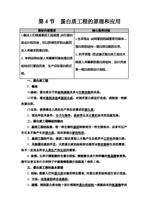 (教学指导)  蛋白质工程的原理和应用Word版含解析