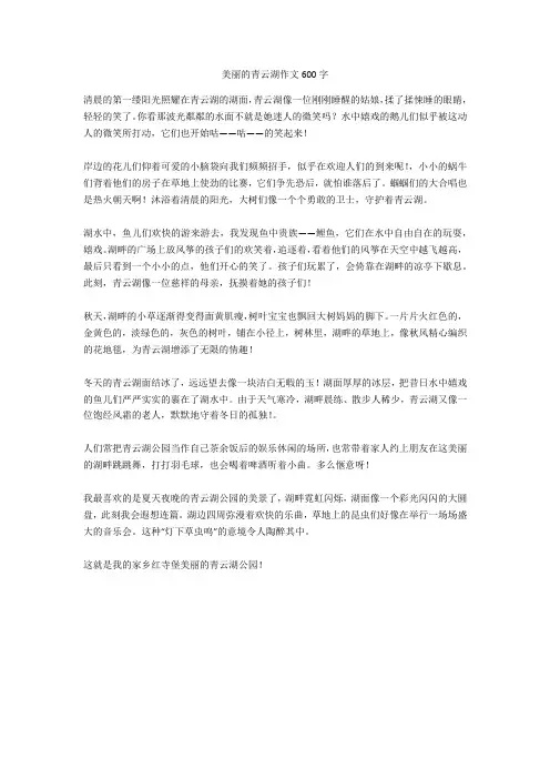 美丽的青云湖作文600字正式版