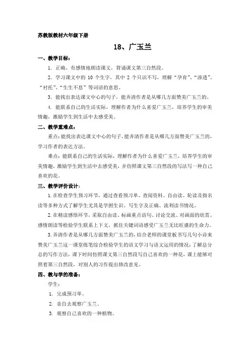 六下18《广玉兰》资料