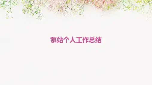 泵站个人工作总结PPT