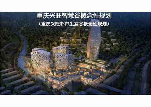 重庆兴旺智慧谷概念性设计方案