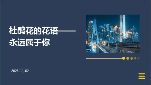 杜鹃花的花语——永远属于你