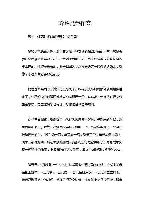 介绍琵琶作文