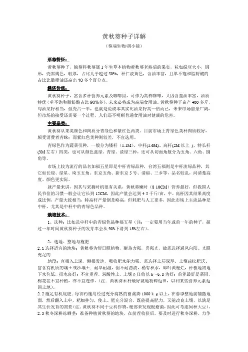 黄秋葵种子详解