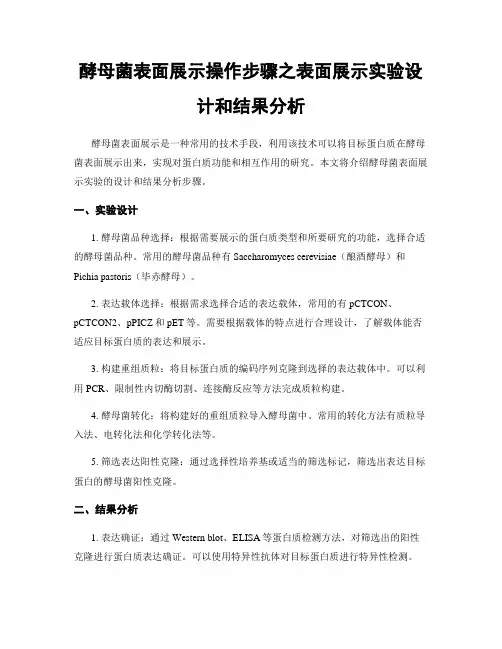 酵母菌表面展示操作步骤之表面展示实验设计和结果分析