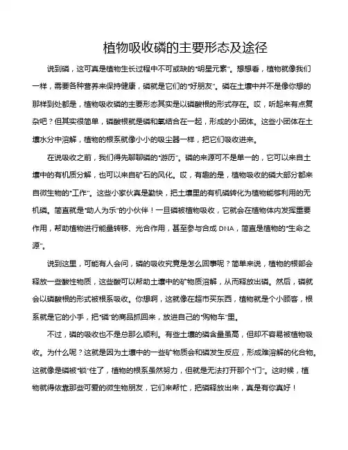 植物吸收磷的主要形态及途径